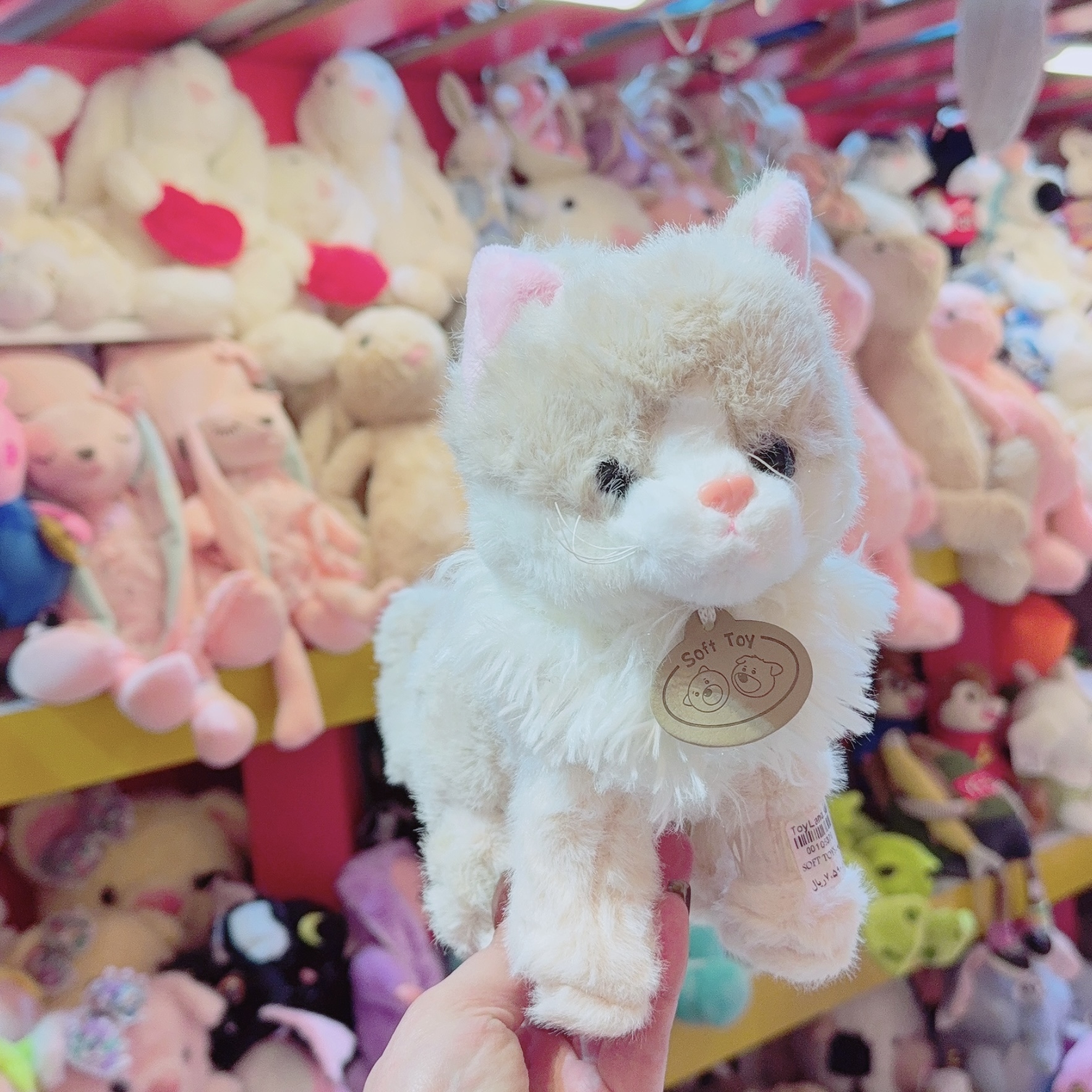 عروسک پولیشی گربه soft toy