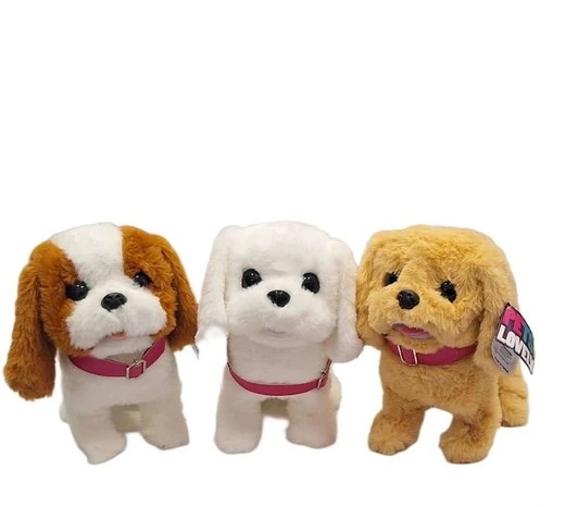 سگ پولیشی قلاده دار راهرو