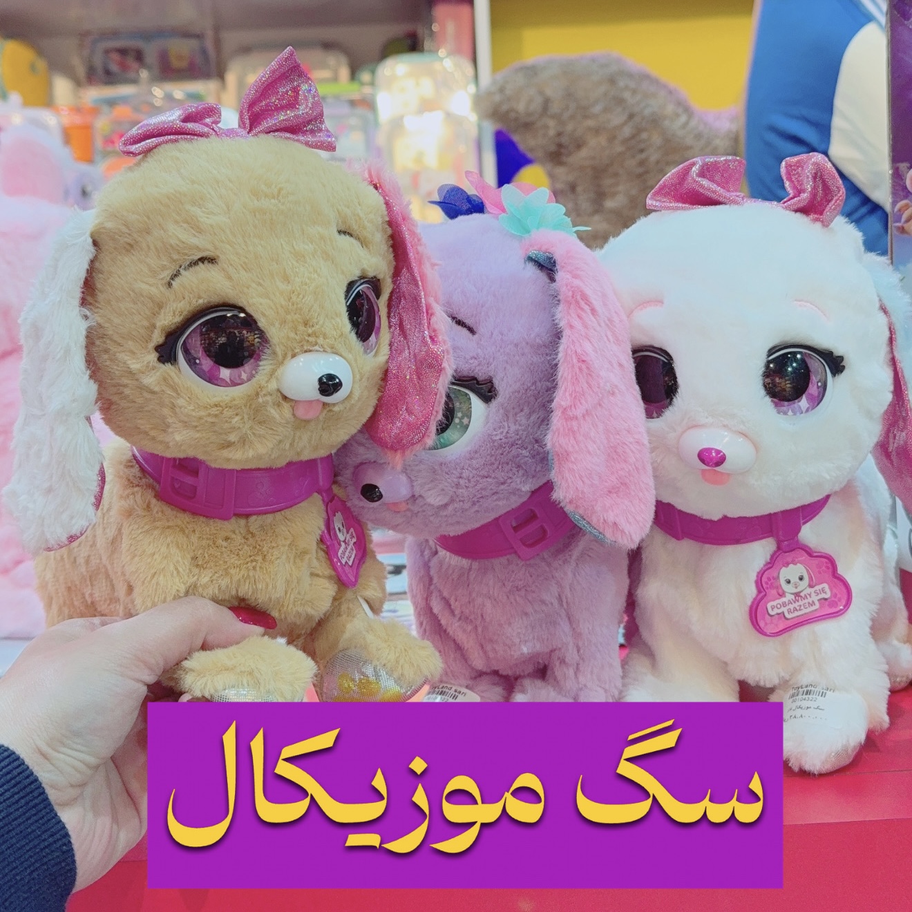 سگ موزیکال سنسوری با حرکات نمایشی