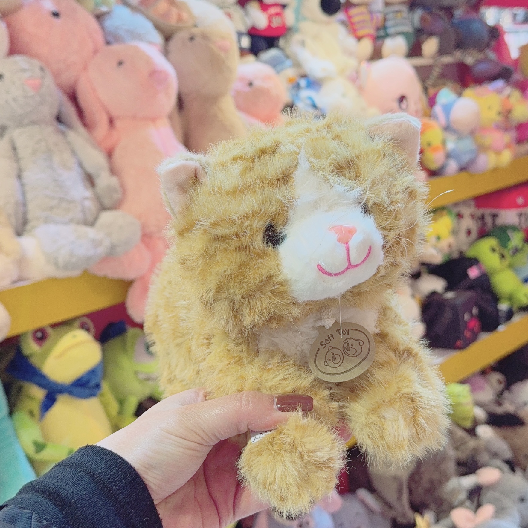 عروسک پولیشی گربه خوابیده 30س